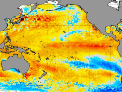 Ahli Ungkap Potensi ‘Kiamat’ Bumi, Mega El Nino Penyebabnya