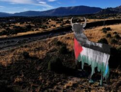 Penampakan Banteng Raksasa Berbendera Palestina di Spanyol