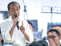 Cap Jokowi Tokoh Korup Dunia 2024, Apa itu Lembaga OCCRP?