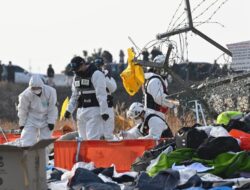 Semua Penumpang Jeju Air Hampir Dipastikan Tewas, Kecuali 2 Pramugari