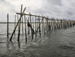 Pagar Laut Misterius di Tangerang Diklaim Dibangun Warga