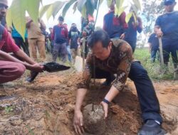 AGP Gelar Aksi Hari Bumi 2025, Tanam Pohon Sampai sekarang Bersih Pantai