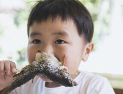 Apakah Makan Ikan Bikin Ginjal Sehat? Ini Penjelasannya