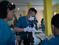Dinas KPKP DKI Tegaskan Tak Ada Iuran untuk BPJS Hewan