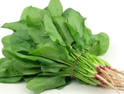 8 Makanan untuk Sehatkan Pembuluh Darah
