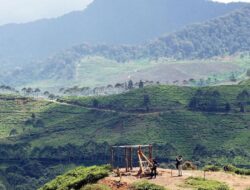 Puncak Bogor Raih Peringkat Ke-3 Destinasi Pedesaan Unggul Asia