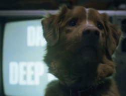 Sinopsis Good Boy, Melihat Situasi Horor dari Sudut Pandang Anjing