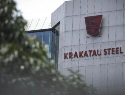 Danantara Ingin Bantu Selamatkan Krakatau Steel, Apa Penjelasannya?