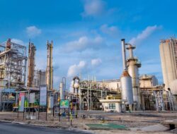 Setelah Tiga Dekade, Pada Akhirnya RI Bangun Pabrik Soda Ash Pertama