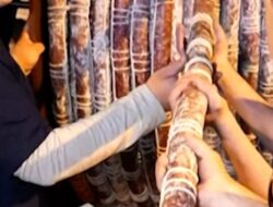 Ramai-ramai Warga Tandil Argentina Bikin Catatan Unggul Salami Terpanjang