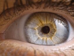 Ini 5 Tips Menjaga Kesehatan Mata pada Usia 20-40 Tahun