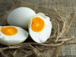 Apa yang Terjadi Bila Anda Makan Telur Setiap Hari? Ini Kata Ahli