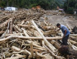 Bareskrim Tetapkan Tersangka Perorangan di Kasus Kayu Gelondongan
