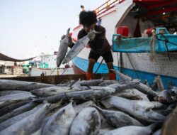 KKP Minta Tambahan Rp1,7 T Buat Pulihkan Sektor Perikanan di Sumatra