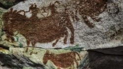 Seni Cadas di Pulau Muna Buktikan Migrasi Jalur Utara ke Australia