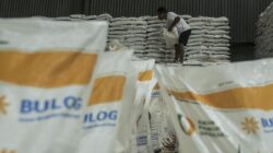 Bos Bulog Buka-Bukaan Biang Kerok Rugi Rp550 M pada 2025