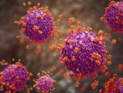 H1N1Pdm09 Mendominasi, ‘Super Flu’ Ada di 13 Provinsi