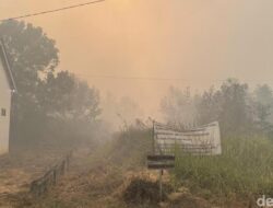 Ini yang Terjadi Pada Tubuh Bila Menghirup Asap Karhutla, Efeknya ke Paru sampai Jantung