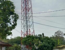 Protelindo Sampaikan Penjelasan Terkait Kepemilikan Saham PT Bakrie Telecom Tbk