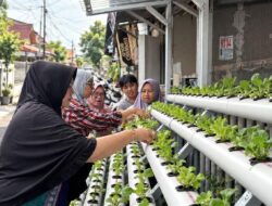 PNM Sulap Lorong Kota Jadi Kebun Produktif, Bantu Nasabah Mekaar Ekonomis Belanja