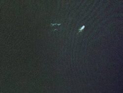 Bentuk-bentuk Misterius Tertangkap Kamera Aplikasi Google Earth