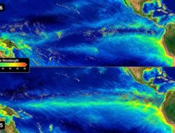 Trend Populer Super El Nino Ubah Warna Laut Samudra Pasifik